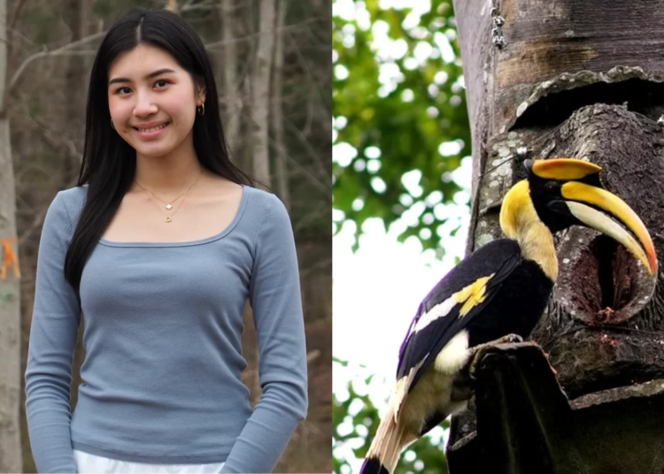 Estudante recebe prêmios por transformar plástico em ninhos para aves