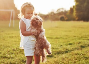 Férias escolares exigem cuidados para evitar estresse em cães e gatos