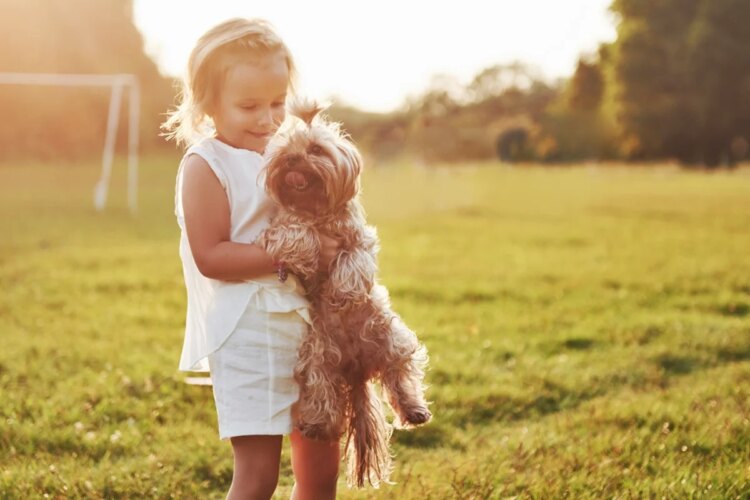 Férias escolares exigem cuidados para evitar estresse em cães e gatos