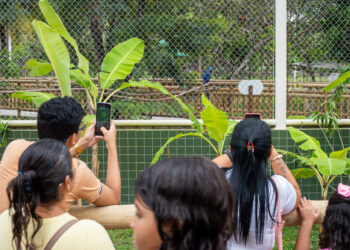 No momento, você está visualizando CIRM promove Colônia de Férias com programação inclusiva para crianças e adolescentes durante o mês de julho
