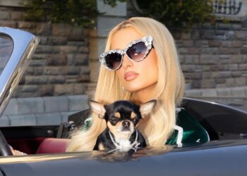 De Taylor Swift a Zendaya: celebs adotam pets em abrigos e até em sets