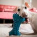 Mordedores ajudam a reduzir o estresse e estimular a mente dos cães