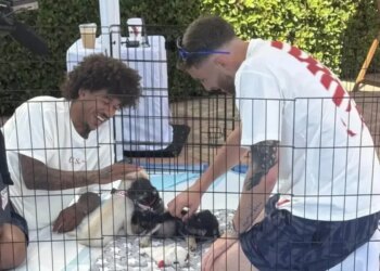 Seleção dos EUA adota terapia com cachorros contra estresse na Copa