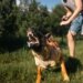 Adestrador dos pets de Eliana e Alok diz o que gera ansiedade animal