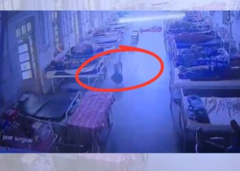 Cachorro "furta" bolsa com R$ 21 mil em bens dentro de hospital na Índia
