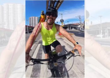 Chamada de papagaio, arara "rebate" e corrige pedestre na rua