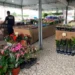 No momento, você está visualizando Feira de Flores Holambra chega a Maracanaú com programação de 26 de agosto a 6 de setembro