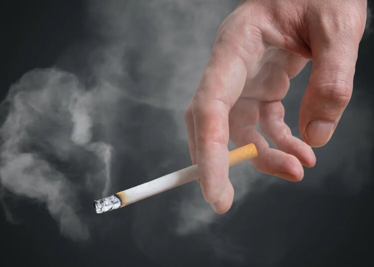 Fumo passivo pode causar câncer e outras doenças graves em pets
