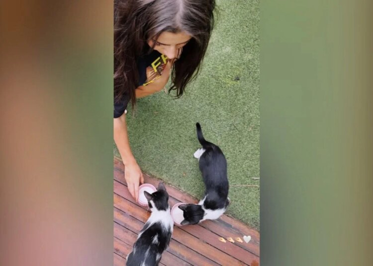 Jade Picon é surpreendida por filhotes de gato na porta de sua mansão