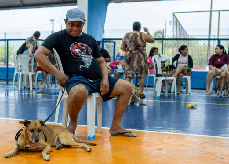 No momento, você está visualizando Maracanaú faz história com o maior mutirão gratuito de castração de cães e gatos já realizado no Município