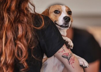 Mulheres desenvolvem vínculos mais fortes com seus pets, aponta estudo