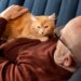 Vínculo forte e rotina calma: os motivos para adotar um gato idoso