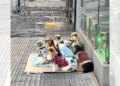 Catador viraliza ao trabalhar ao lado de nove cães vestidos com roupinhas