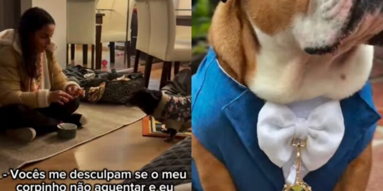 Cão homenageia companheira que morreu 2 meses antes de tutores se casarem