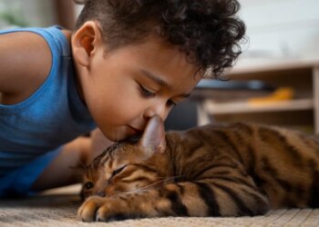 Como estimular uma convivência harmoniosa entre crianças e pets em casa