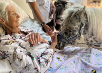 Mulher com câncer terminal realiza último desejo: "Sentir cheiro de cavalo"