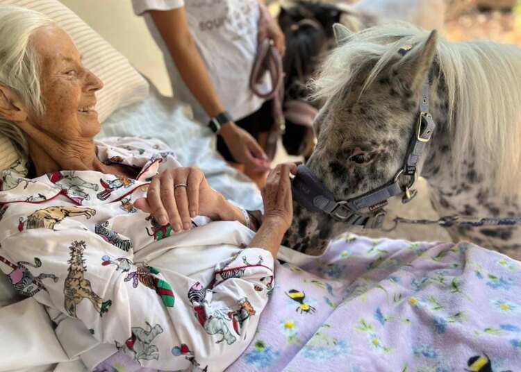 Mulher com câncer terminal realiza último desejo: "Sentir cheiro de cavalo"